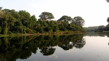 Outamba Kilimi National Park