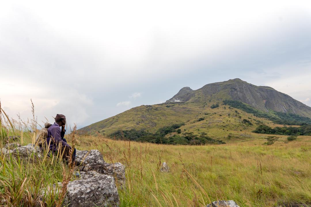 Tingi Hills