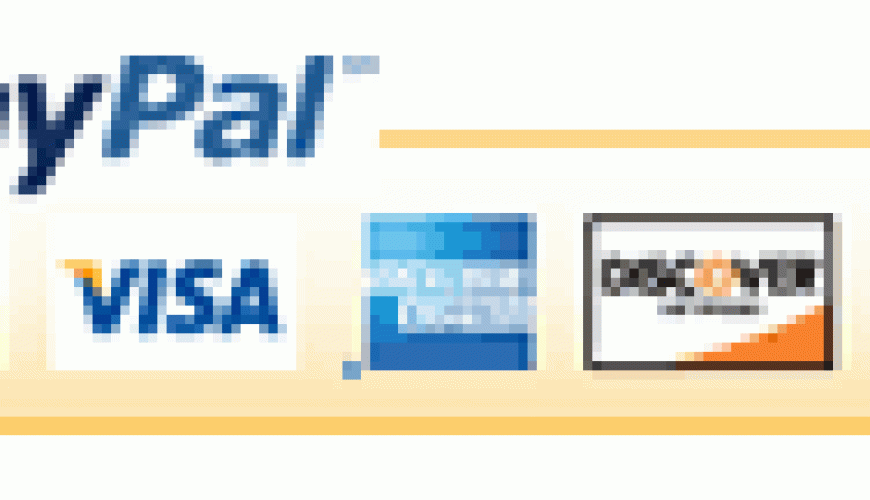 Easy, Safe and Quick payment visa paypal