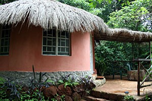 Tacugama Chimpanzee Sanctuary