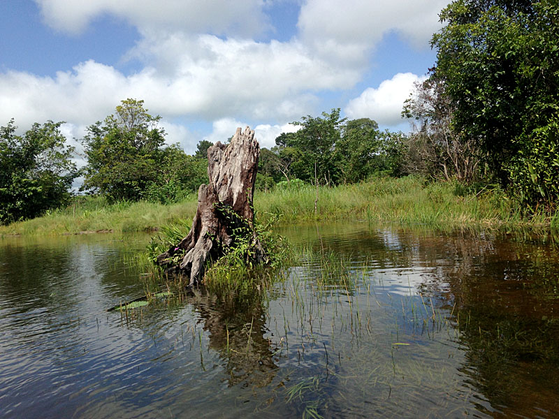 Discover Sierra Leone, Before everyone else does