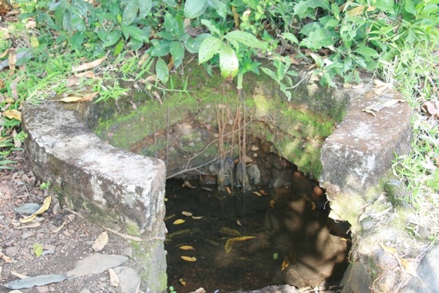 Madinga Wata