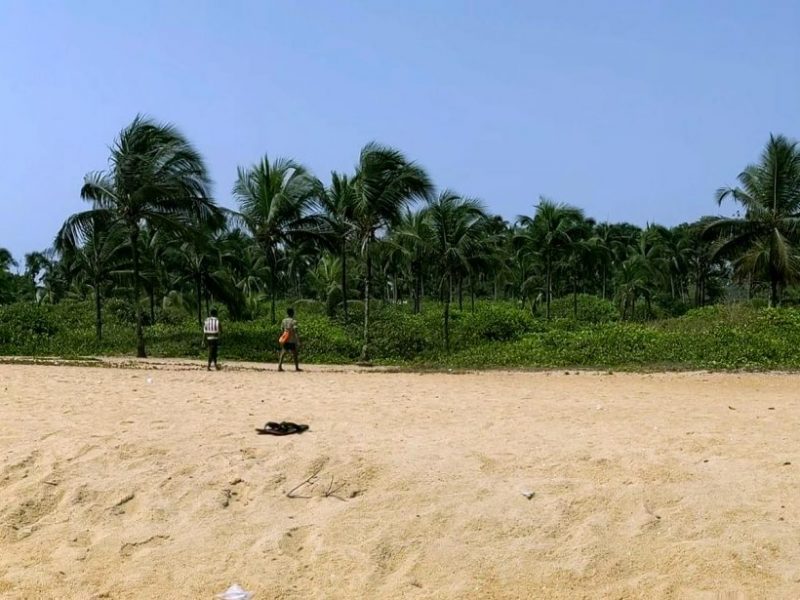 Discover Sierra Leone, Before everyone else does
