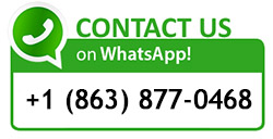 Whatsapp us