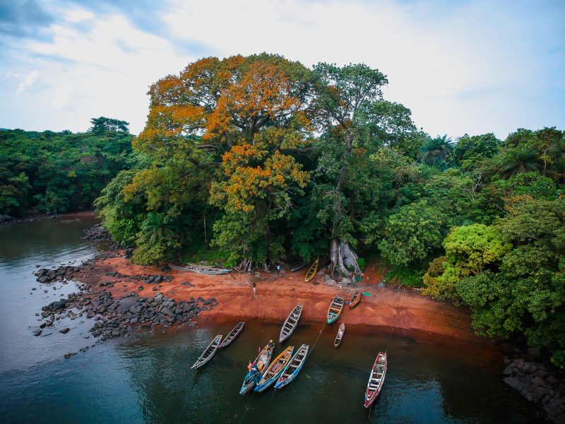 Discover Sierra Leone, Before everyone else does