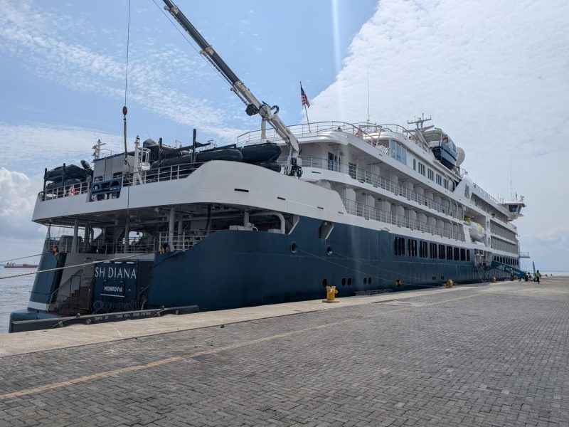 Cruise SH DIANA