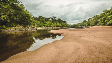 Tiwai Island